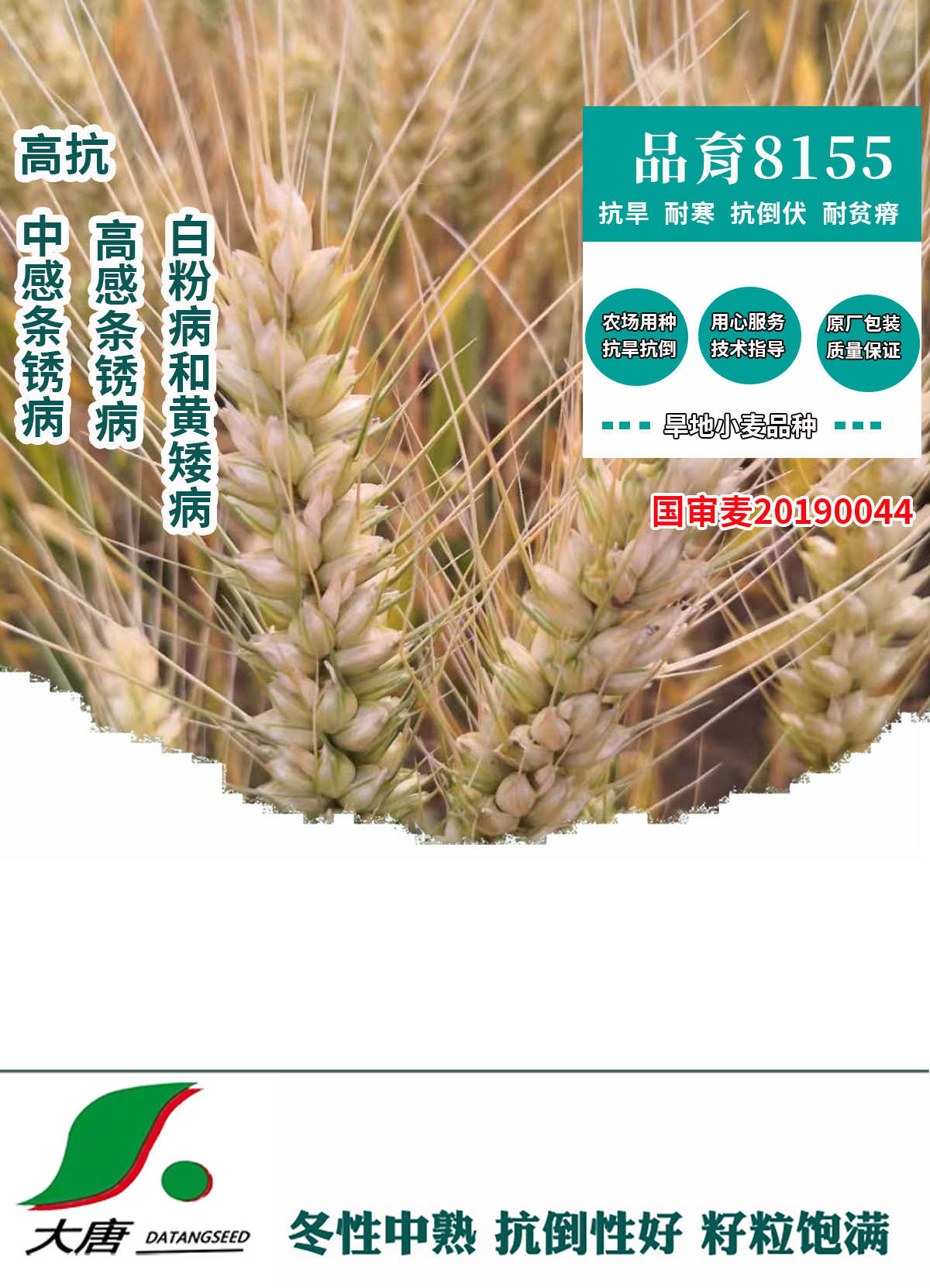 品育8155